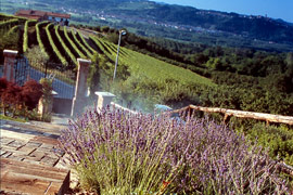 Click per ingrandire!