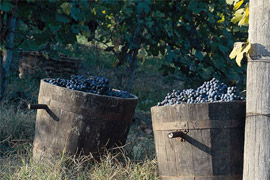 Click per ingrandire!