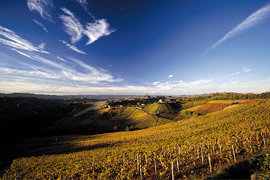 Click per ingrandire!