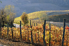 Click per ingrandire!