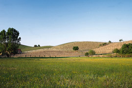 Click per ingrandire!