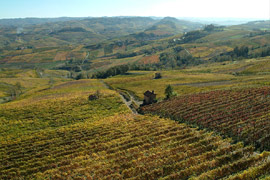 Click per ingrandire!